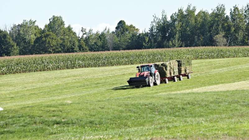An agriculture student hauls hay across a field, with a tractor.