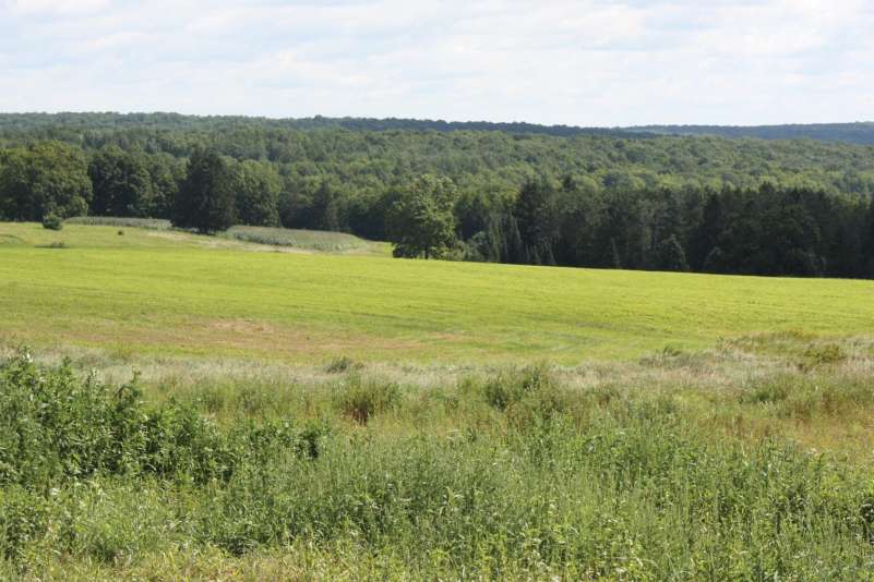 A view of a field used for crops at the Agriculture Center of Excellence.