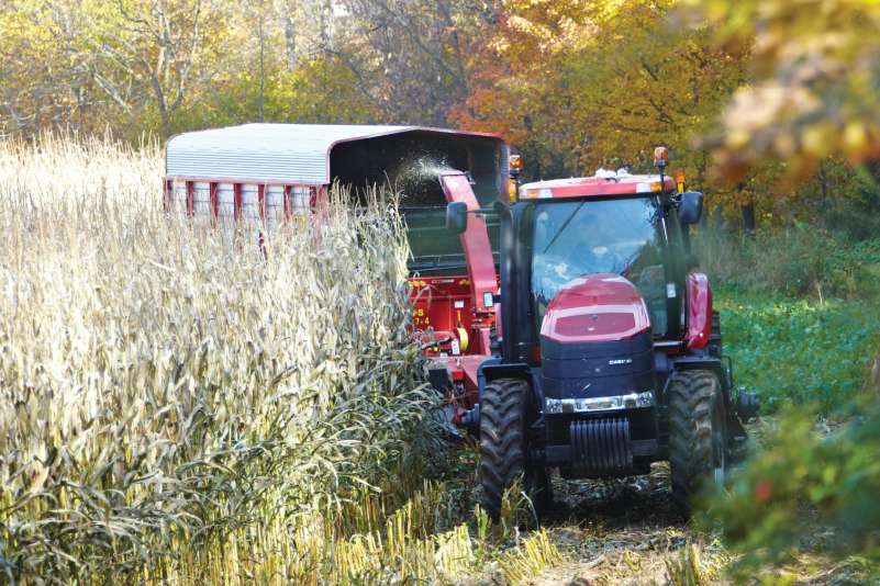 An agriculture student does some harvesting, driving a red tractor in the field.