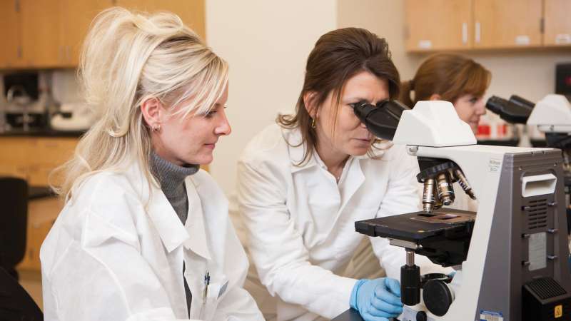 Health program students look at slides under a microscope.