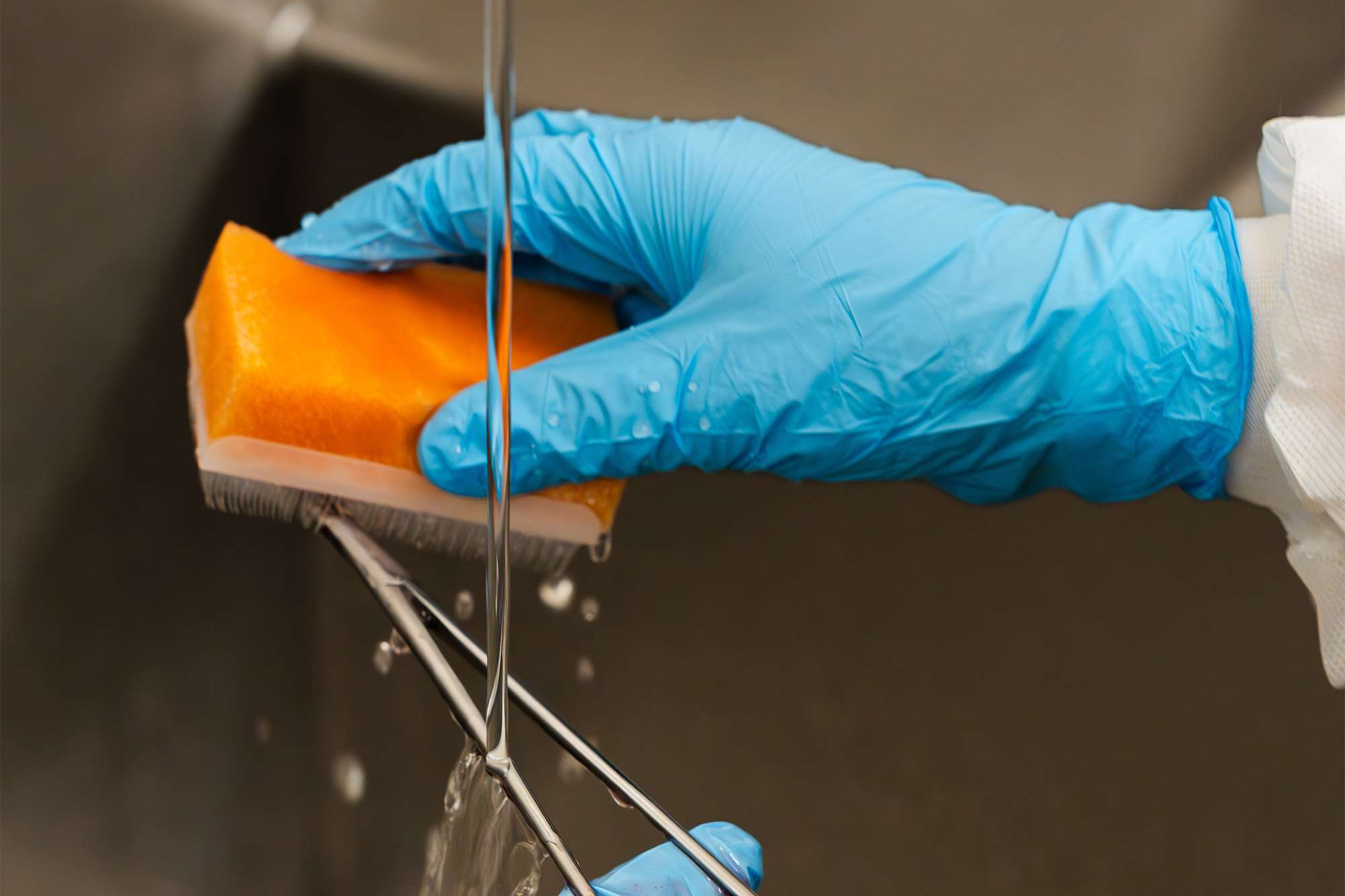 A close up view of a Sterile Processing Technician student washing soiled surgical instruments under running water at a sink.